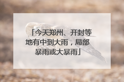 今天郑州、开封等地有中到大雨，局部暴雨或大暴雨