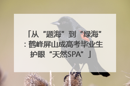 从“题海”到“绿海”：鹤峰屏山成高考毕业生护眼“天然SPA”