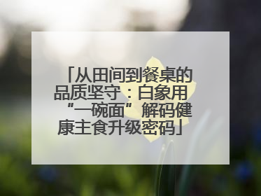 从田间到餐桌的品质坚守：白象用“一碗面”解码健康主食升级密码