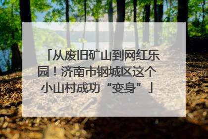 从废旧矿山到网红乐园！济南市钢城区这个小山村成功“变身”