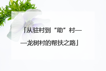 从驻村到“助”村——龙树村的帮扶之路