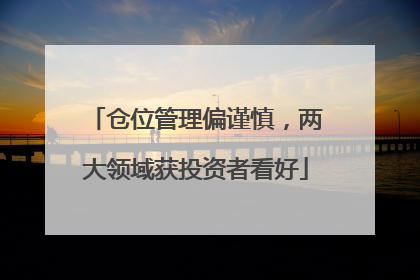 仓位管理偏谨慎，两大领域获投资者看好