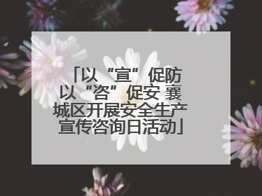 以“宣”促防 以“咨”促安 襄城区开展安全生产宣传咨询日活动