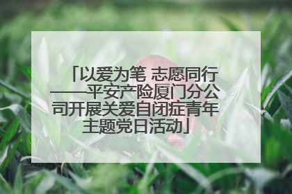 以爱为笔 志愿同行——平安产险厦门分公司开展关爱自闭症青年主题党日活动