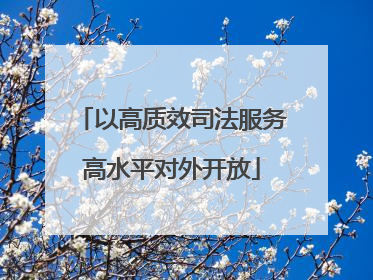 以高质效司法服务高水平对外开放