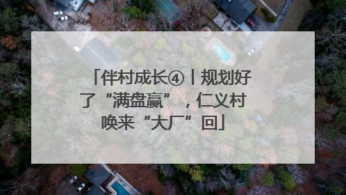 伴村成长④丨规划好了“满盘赢”，仁义村唤来“大厂”回