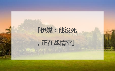 伊媒：他没死，正在战情室