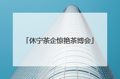 休宁茶企惊艳茶博会