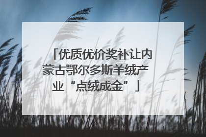 优质优价奖补让内蒙古鄂尔多斯羊绒产业“点绒成金”
