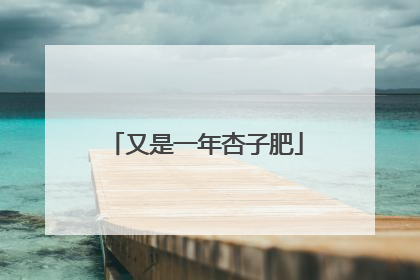 又是一年杏子肥