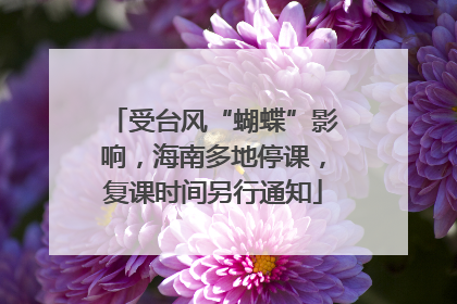 受台风“蝴蝶”影响，海南多地停课，复课时间另行通知