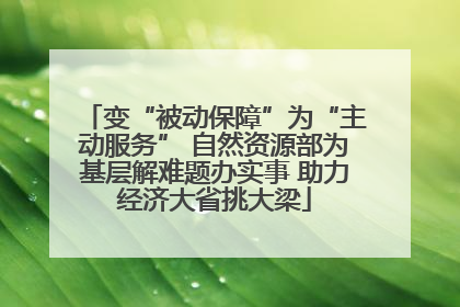 变“被动保障”为“主动服务” 自然资源部为基层解难题办实事 助力经济大省挑大梁