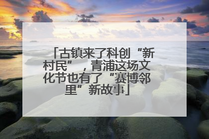 古镇来了科创“新村民”，青浦这场文化节也有了“赛博邻里”新故事
