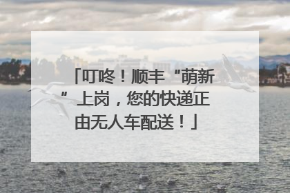 叮咚！顺丰“萌新”上岗，您的快递正由无人车配送！