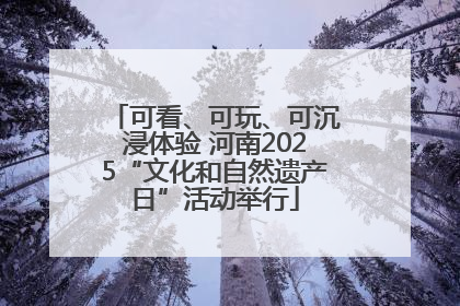 可看、可玩、可沉浸体验 河南2025“文化和自然遗产日”活动举行
