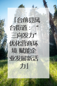 台前县凤台街道：“三向发力”优化营商环境 赋能企业发展新活力