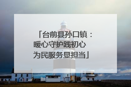 台前县孙口镇：暖心守护践初心 为民服务显担当