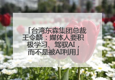 台湾东森集团总裁王令麟：媒体人要积极学习、驾驭AI，而不是被AI利用