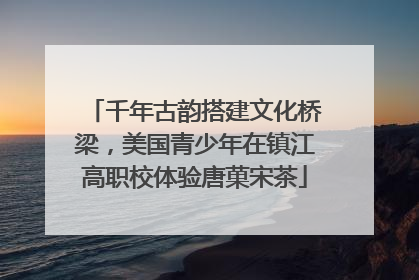 千年古韵搭建文化桥梁，美国青少年在镇江高职校体验唐菓宋茶