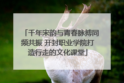 千年宋韵与青春脉搏同频共振 开封职业学院打造行走的文化课堂