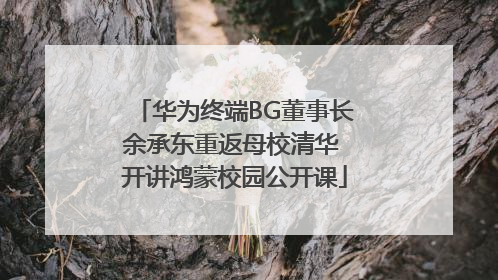 华为终端BG董事长余承东重返母校清华 开讲鸿蒙校园公开课