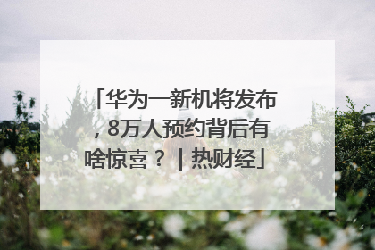 华为一新机将发布，8万人预约背后有啥惊喜？｜热财经