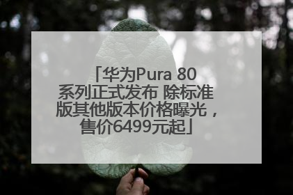 华为Pura 80系列正式发布 除标准版其他版本价格曝光，售价6499元起