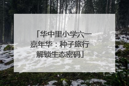 华中里小学六一嘉年华：种子旅行解锁生态密码