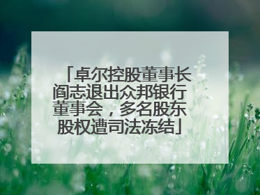 卓尔控股董事长阎志退出众邦银行董事会，多名股东股权遭司法冻结