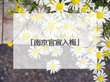 南京官宣入梅