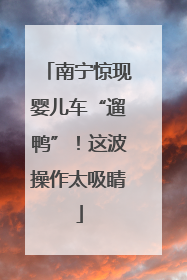 南宁惊现婴儿车“遛鸭”！这波操作太吸睛