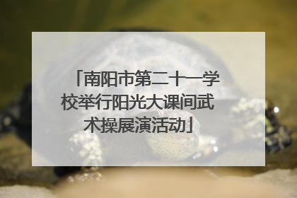 南阳市第二十一学校举行阳光大课间武术操展演活动