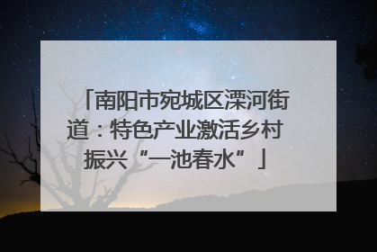 南阳市宛城区溧河街道：特色产业激活乡村振兴“一池春水”