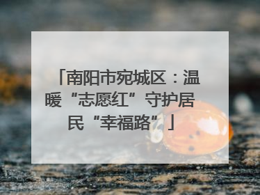 南阳市宛城区：温暖“志愿红”守护居民“幸福路”