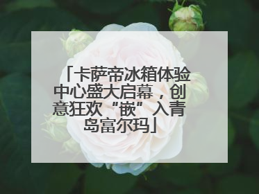 卡萨帝冰箱体验中心盛大启幕，创意狂欢“嵌”入青岛富尔玛