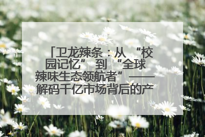 卫龙辣条：从 “校园记忆” 到 “全球辣味生态领航者”——解码千亿市场背后的产品创新与全链路破圈