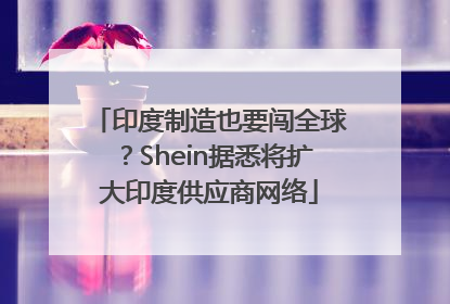 印度制造也要闯全球？Shein据悉将扩大印度供应商网络