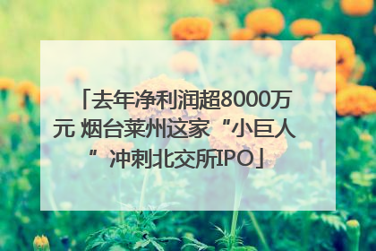 去年净利润超8000万元 烟台莱州这家“小巨人”冲刺北交所IPO