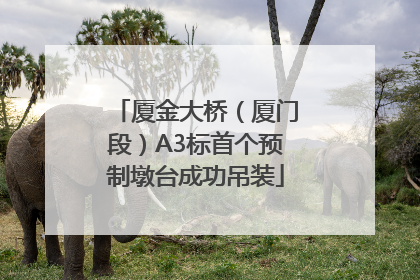 厦金大桥（厦门段）A3标首个预制墩台成功吊装