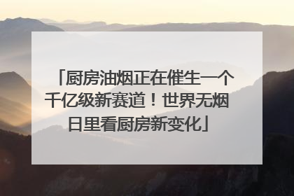 厨房油烟正在催生一个千亿级新赛道！世界无烟日里看厨房新变化