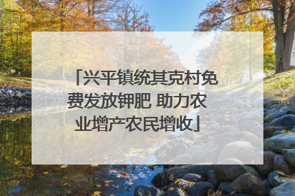 兴平镇统其克村免费发放钾肥 助力农业增产农民增收