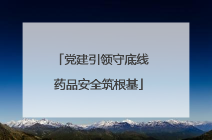 党建引领守底线 药品安全筑根基
