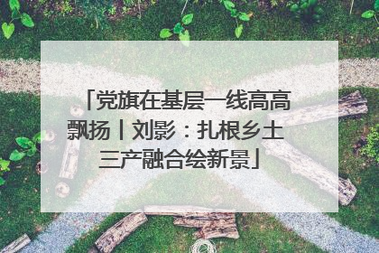 党旗在基层一线高高飘扬丨刘影：扎根乡土 三产融合绘新景