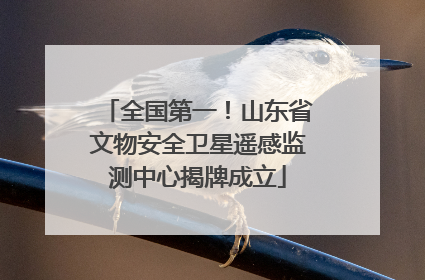 全国第一！山东省文物安全卫星遥感监测中心揭牌成立