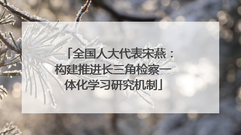 全国人大代表宋燕：构建推进长三角检察一体化学习研究机制