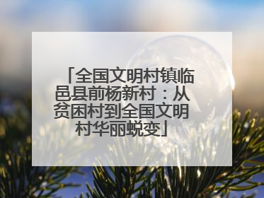 全国文明村镇临邑县前杨新村：从贫困村到全国文明村华丽蜕变