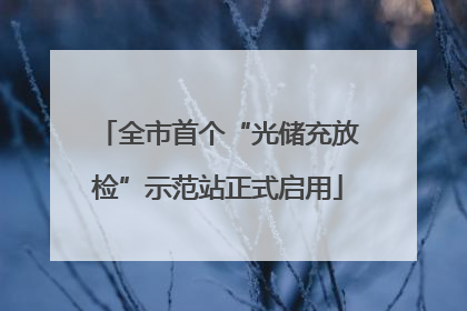全市首个“光储充放检”示范站正式启用
