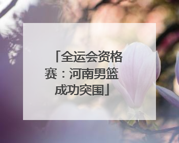 全运会资格赛：河南男篮成功突围
