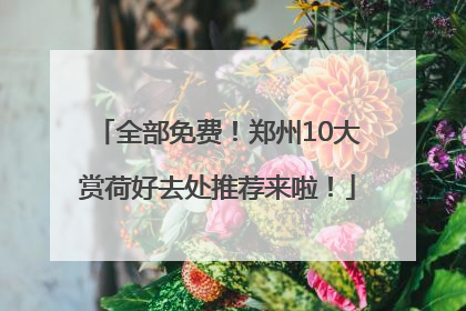 全部免费！郑州10大赏荷好去处推荐来啦！