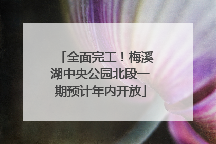 全面完工！梅溪湖中央公园北段一期预计年内开放